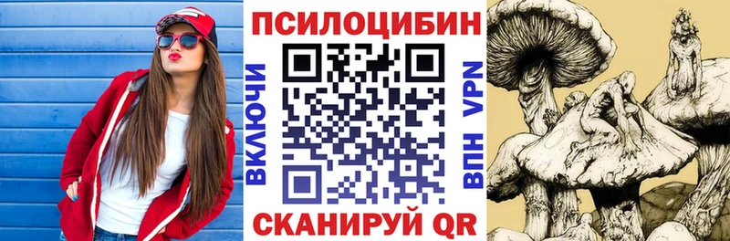 Галлюциногенные грибы Magic Shrooms  где купить   блэк спрут зеркало  Болгар 